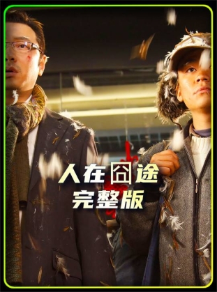 王宝强和徐峥的首次合作，票房不高，却收获不少好评