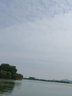 西柚?