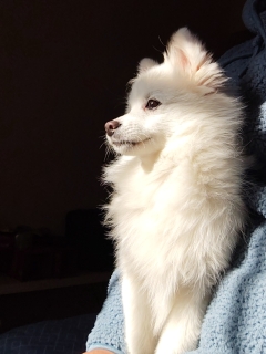 简单的幸福