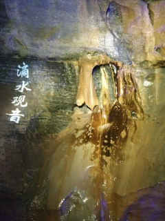 寻觅你/们