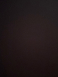 士